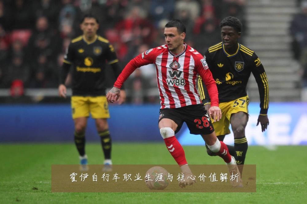 霍伊自行车职业生涯与核心价值解析
